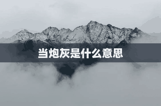 当炮灰是什么意思